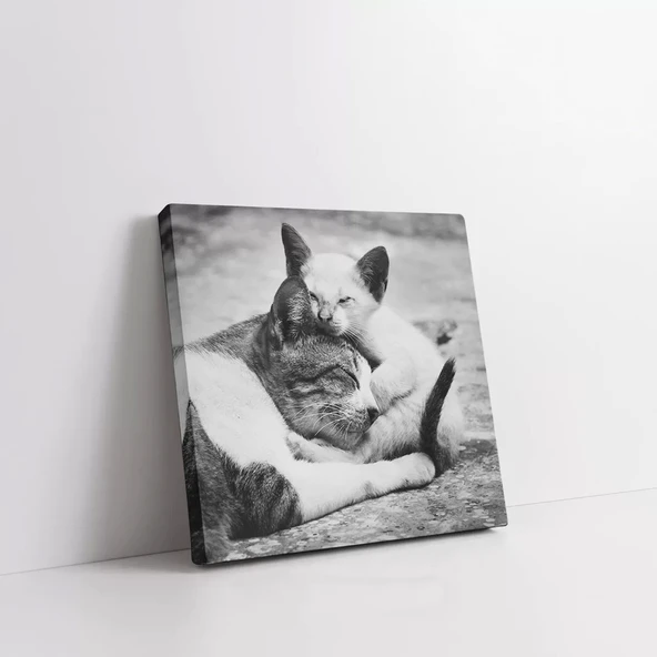 Dostça Sarılma Kanvas Tablo - Resim 2