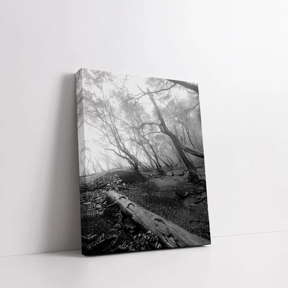 Ormanın Gizemi Kanvas Tablo - Resim 2