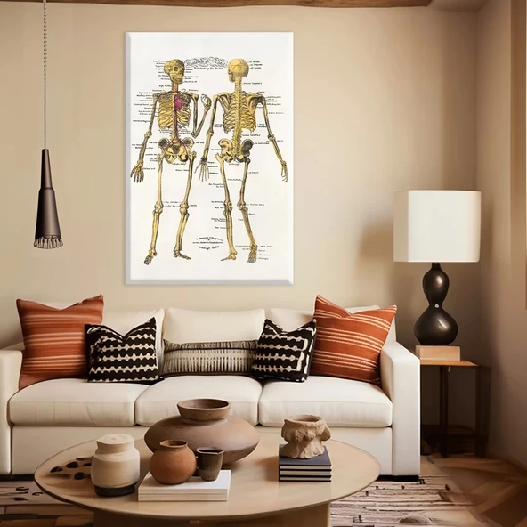 İskelet Anatomisi Kanvas Tablo ürün görseli