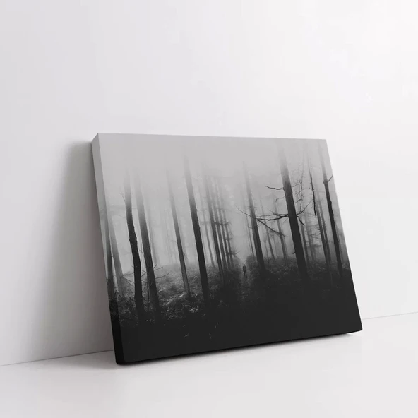 Sisli Orman Yolu Kanvas Tablo - Resim 2