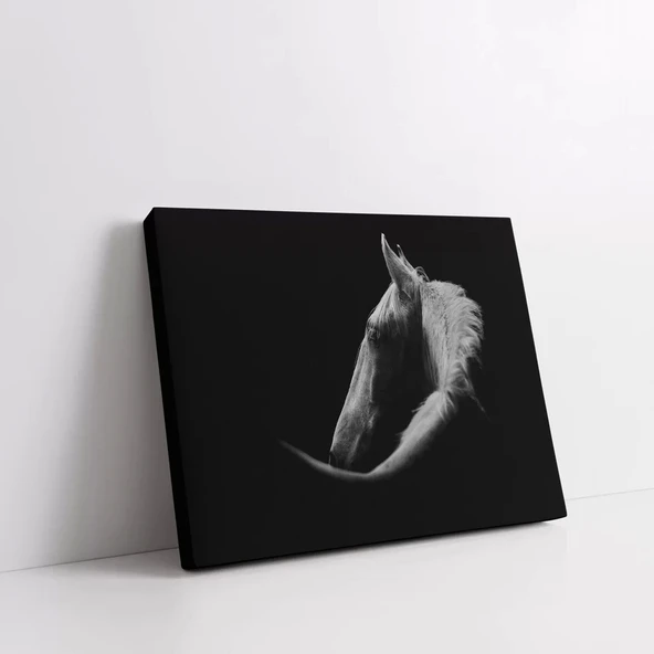 Asil At Portresi Kanvas Tablo - Resim 2