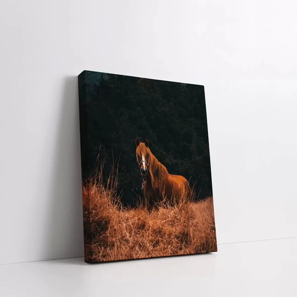 Kahverengi Asil At Kanvas Tablo - Resim 2