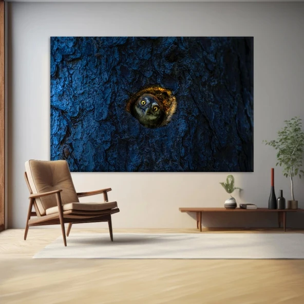 Gizemli Baykuş Kanvas Tablo ürün görseli