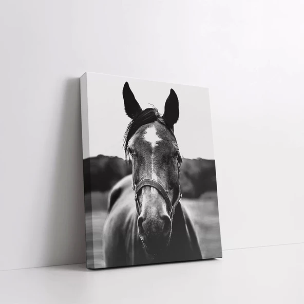 Siyah Beyaz At Kanvas Tablo - Resim 2