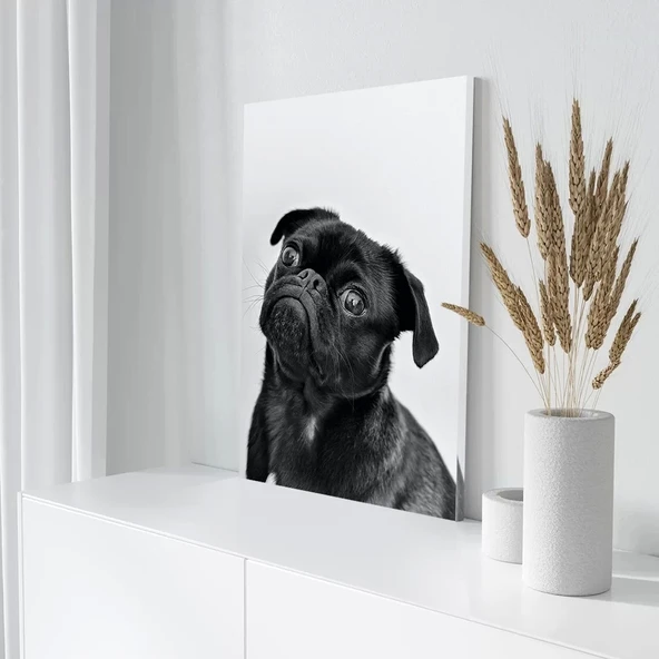 Siyah Pug Köpek Kanvas Tablo - Resim 3