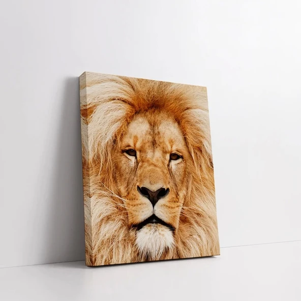 Sarı Aslan Kanvas Tablo - Resim 2