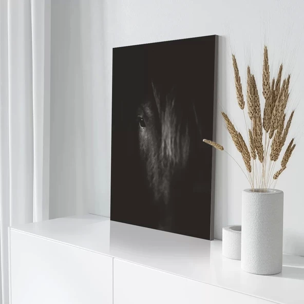 Siyah At Kanvas Tablo - Resim 3