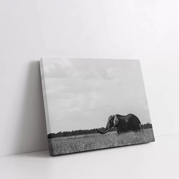 Sakin Suların Öyküsü Kanvas Tablo - Resim 2