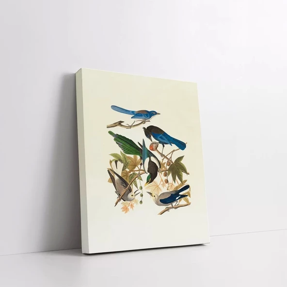 Daldaki Kuşlar Kanvas Tablo - Resim 2