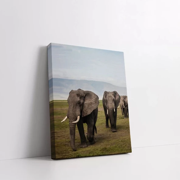 Doğadaki Filler Kanvas Tablo - Resim 2