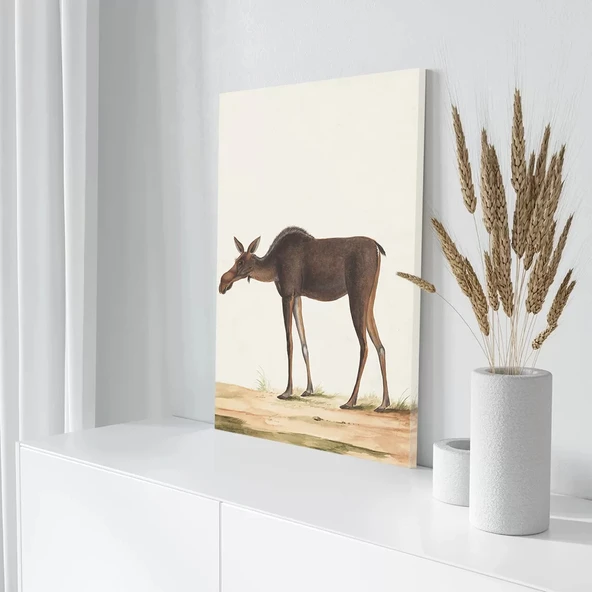 Kanada Geyiği Kanvas Tablo - Resim 3