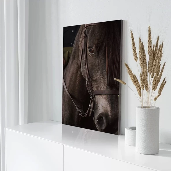 Masum Bakışlı Siyah At Kanvas Tablo - Resim 3