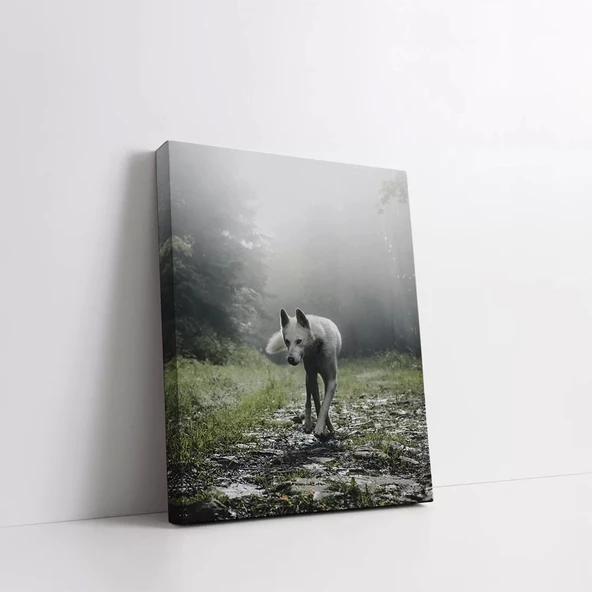 Ormandaki Kurt Kanvas Tablo - Resim 2