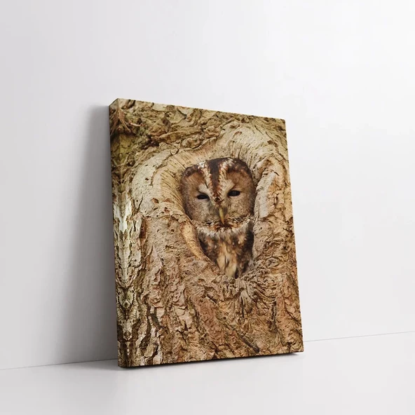 Kamufle Baykuş Kanvas Tablo - Resim 2