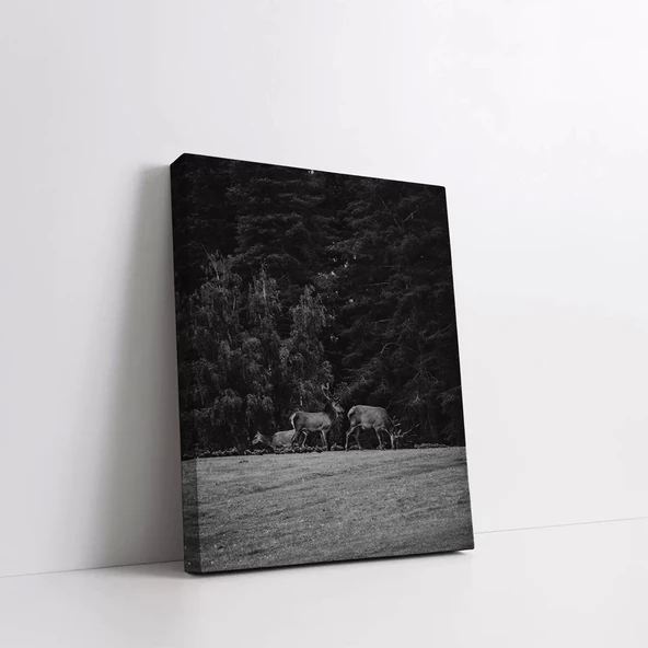 Ormandaki Geyikler Kanvas Tablo - Resim 2
