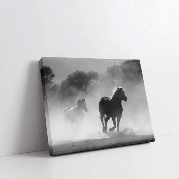 Misty Atlar Kanvas Tablo - Resim 2