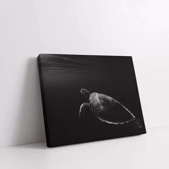 Yalnız Deniz Kaplumbağası Kanvas Tablo - Resim 2