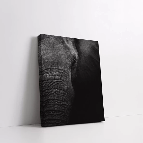 Siyah Fil Kanvas Tablo - Resim 2
