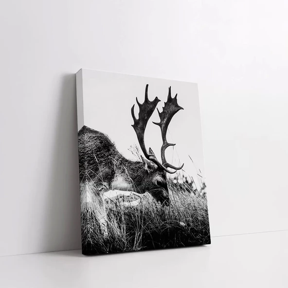 Siyah Beyaz Geyik Kanvas Tablo - Resim 2