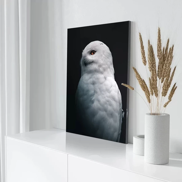 Beyaz Baykuş Kanvas Tablo - Resim 3