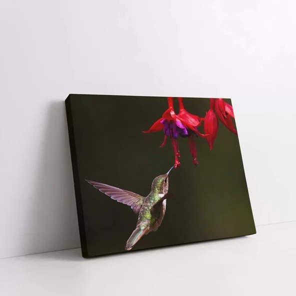 Arı Kuşu Kanvas Tablo - Resim 2