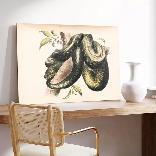 Doğanın Halkaları Kanvas Tablo - Resim 3