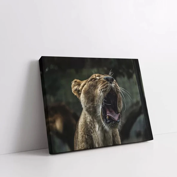 Kükreyen Aslan Kanvas Tablo - Resim 2
