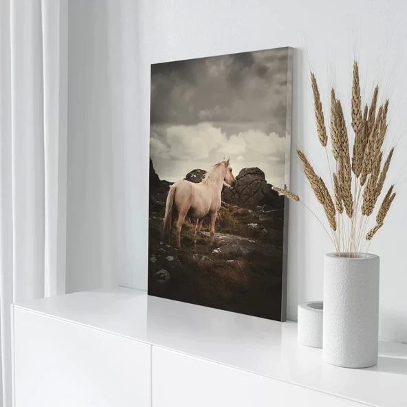 Beyaz At Kanvas Tablo - Resim 3