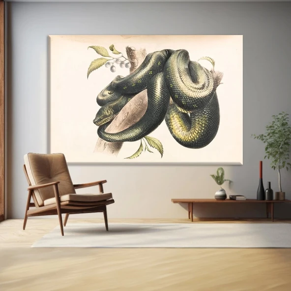 Doğanın Halkaları Kanvas Tablo ürün görseli