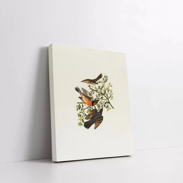 Daldaki Serçe Kanvas Tablo - Resim 2