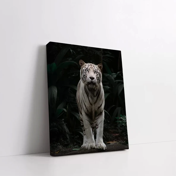 Siyah Beyaz Çizgili Kaplan Kanvas Tablo - Resim 2