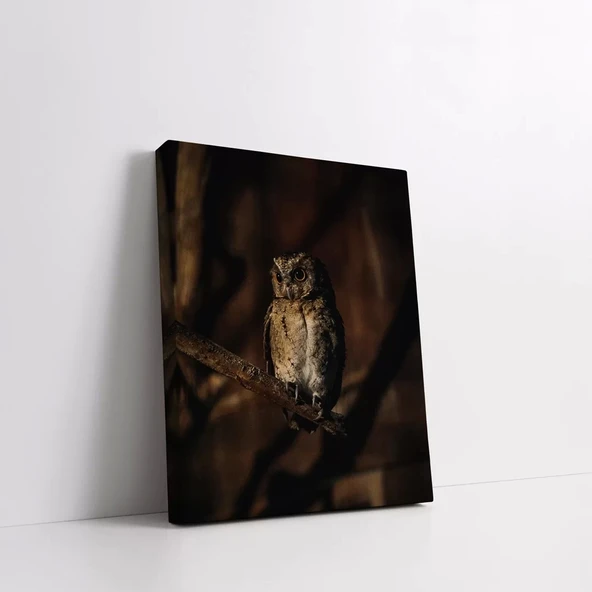 Daldaki Baykuş Kanvas Tablo - Resim 2