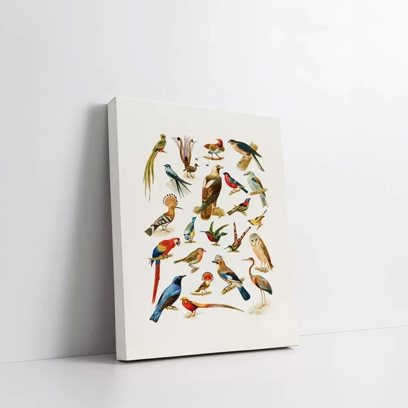 Familya Kuşlar Kanvas Tablo - Resim 2