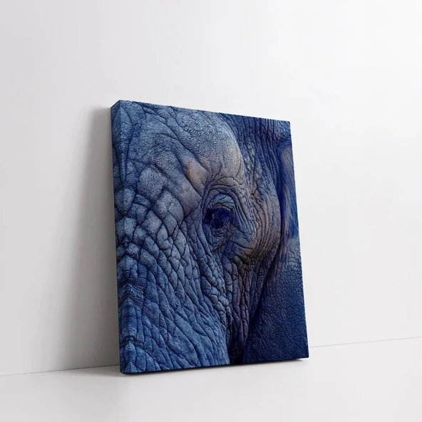 Mavi Fil Kanvas Tablo - Resim 2