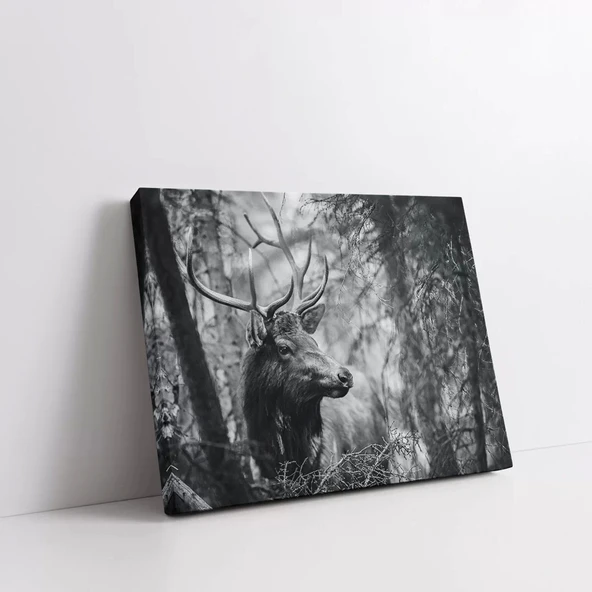 Tek Boynuzlu Geyik Kanvas Tablo - Resim 2
