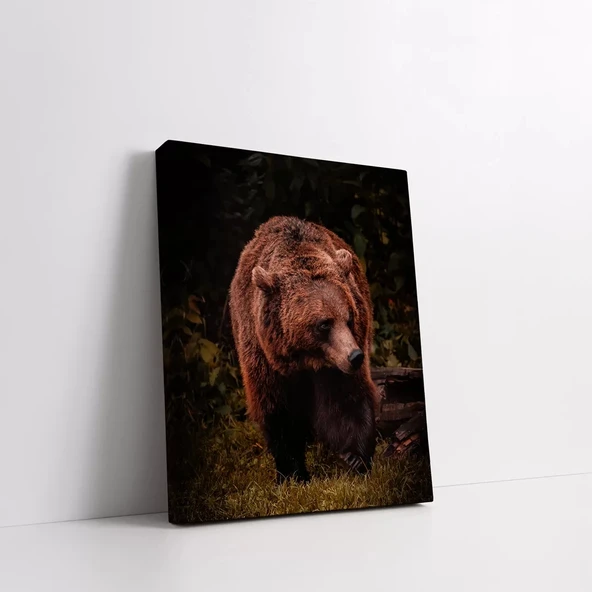 Kahverengi Ayı Kanvas Tablo - Resim 2