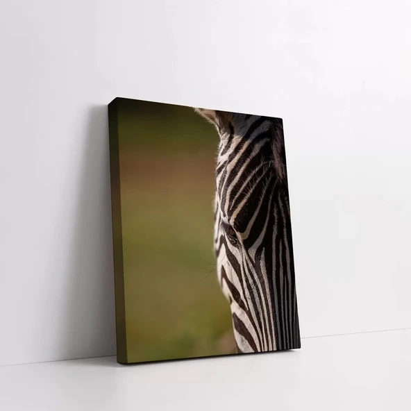 Siyah Beyaz Çizgili Zebra Kanvas Tablo - Resim 2