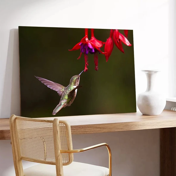 Arı Kuşu Kanvas Tablo - Resim 3