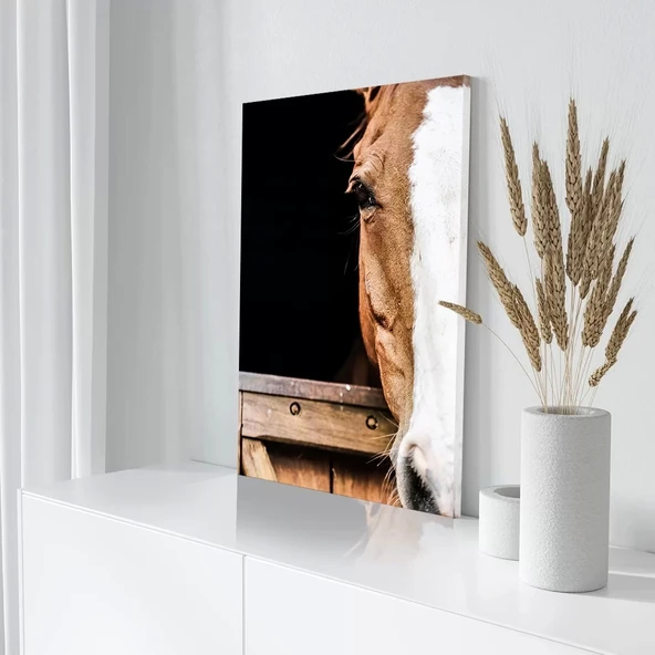 Kahverengi Beyaz At Kanvas Tablo - Resim 3