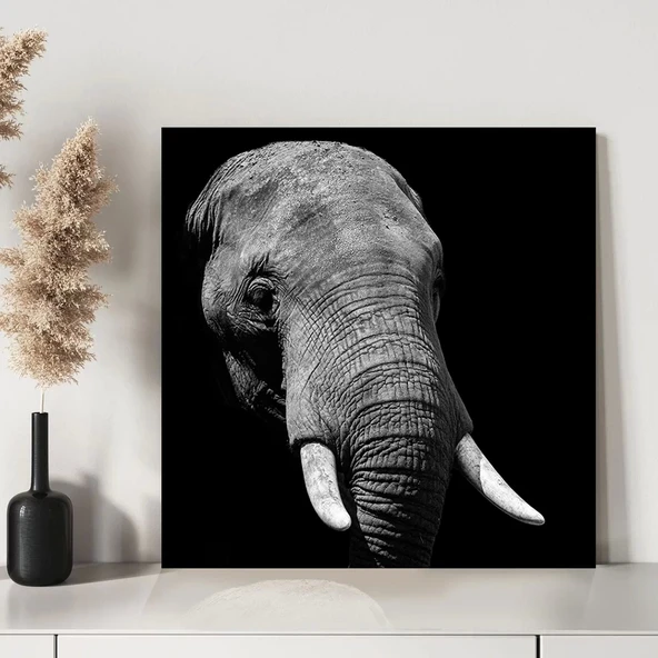 Savana Hikayeleri Kanvas Tablo - Resim 3