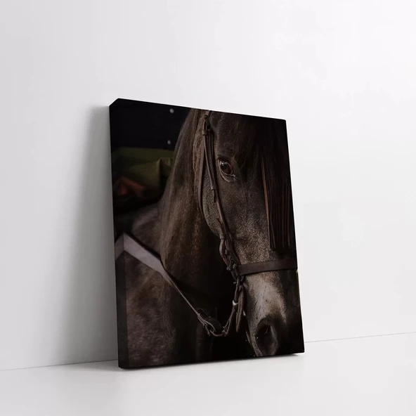 Masum Bakışlı Siyah At Kanvas Tablo - Resim 2