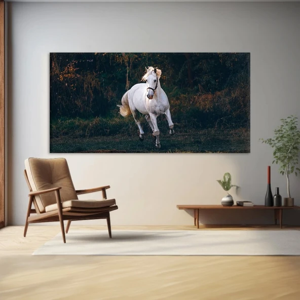 Yalnızlık Majestesi Kanvas Tablo ürün görseli