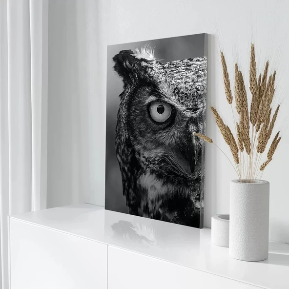 Siyah Baykuş Kanvas Tablo - Resim 3