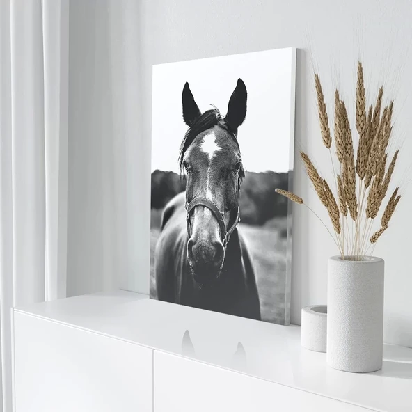 Siyah Beyaz At Kanvas Tablo - Resim 3