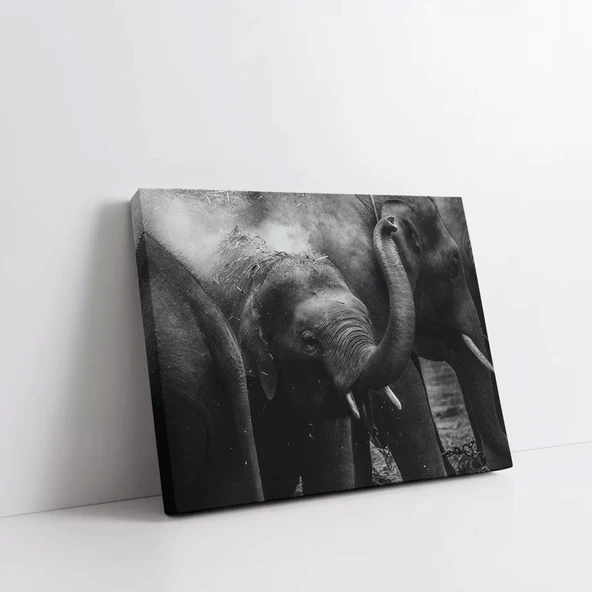 Yaban Hayatı Dokunuşu Kanvas Tablo - Resim 2