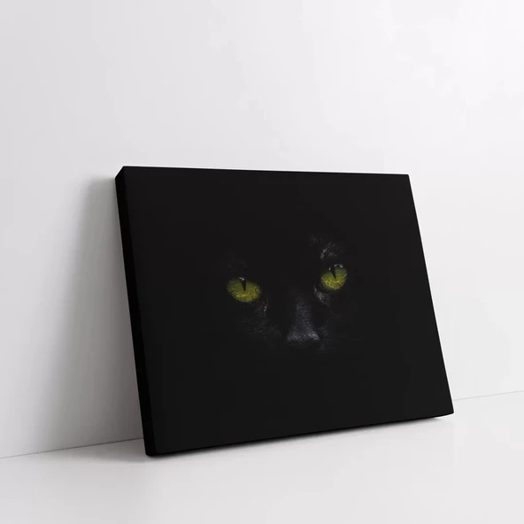 Gizemli Kedi Kanvas Tablo - Resim 2