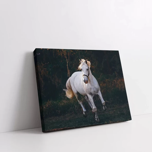 Yalnızlık Majestesi Kanvas Tablo - Resim 2