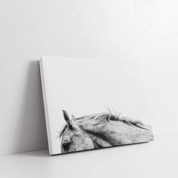 Noble Kontur Kanvas Tablo - Resim 3