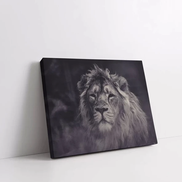 Aslan Portresi Kanvas Tablo - Resim 2