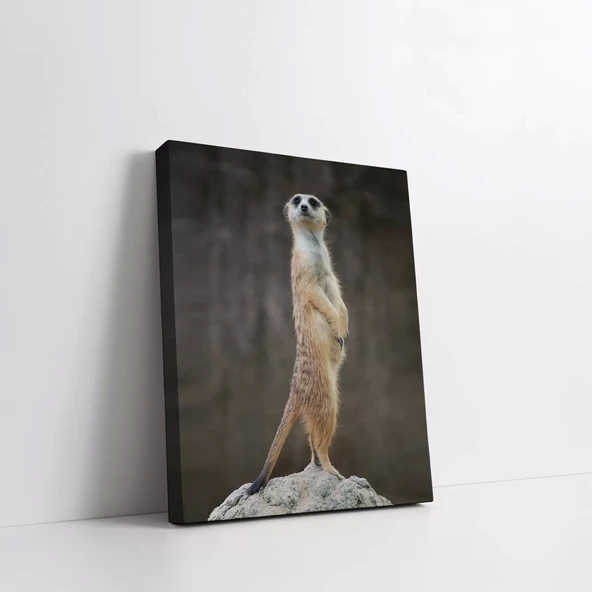 Sarı Tüylü Mirket Kanvas Tablo - Resim 2